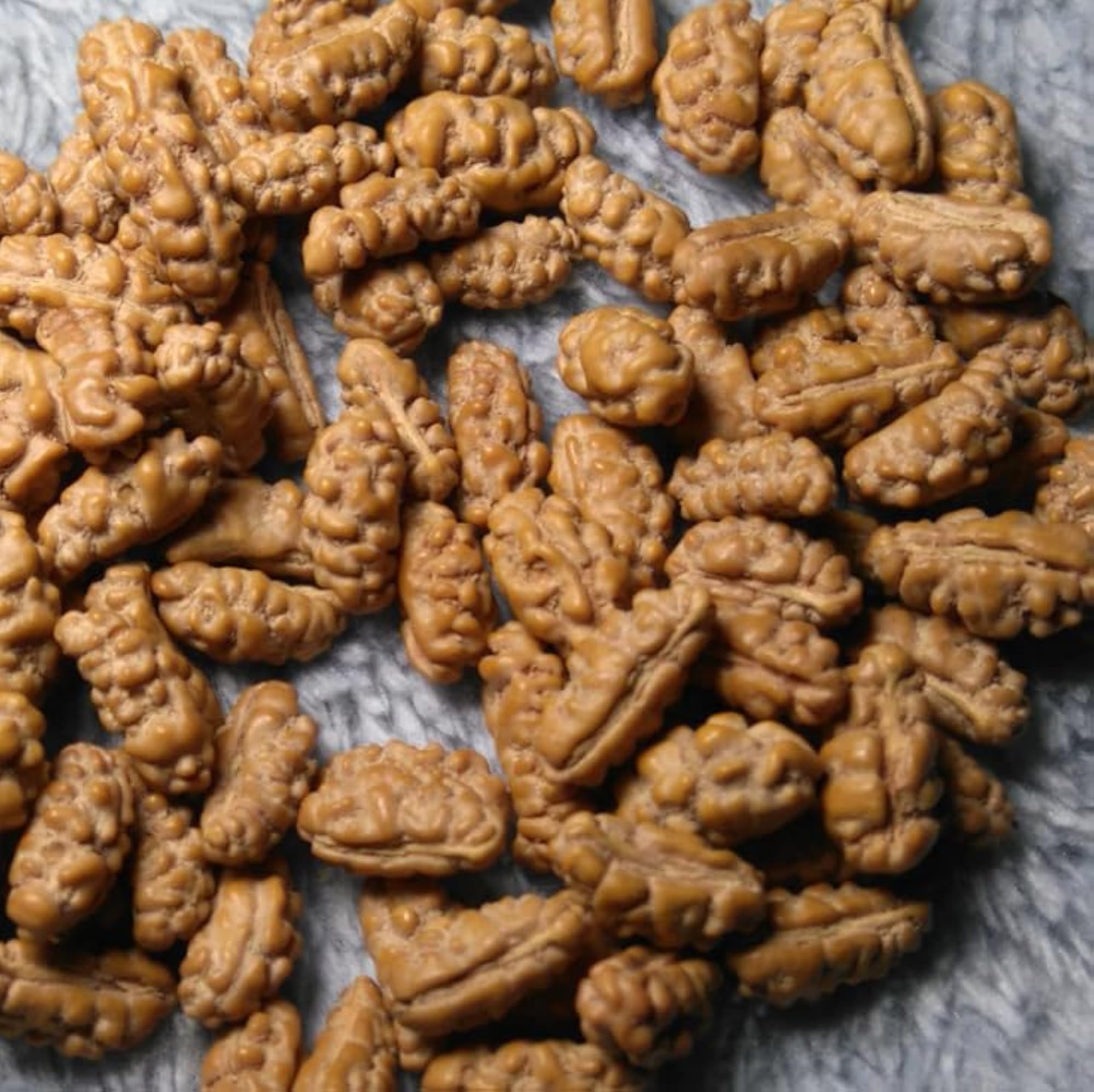 1 Mukhi Indonesia Rudraksha Bead, Certified Quality